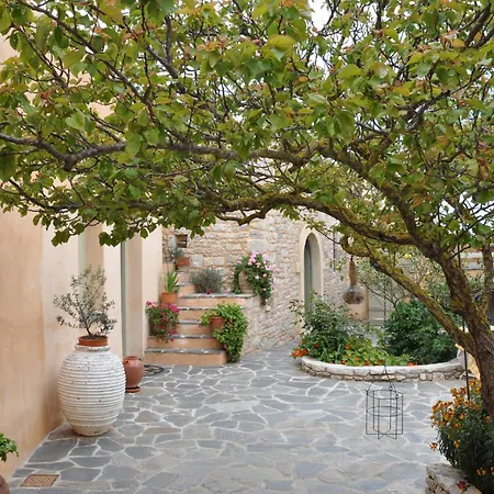 Domus Arch Stone House